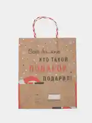 Пакет новогодний, подарочный, с приколом, рисунком, пожеланием
