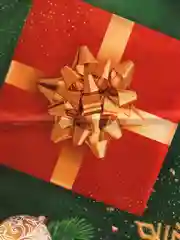 Оранжевый пакет новогодний 20 х 30 см (3, 5, 10 шт)