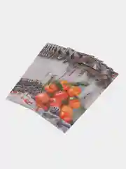 Пудровый пакет новогодний 20 х 30 см (3, 5, 10 шт)