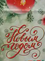 Салатовый пакет новогодний 20 х 30 см (3, 5, 10 шт)