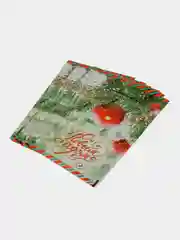 Салатовый пакет новогодний 20 х 30 см (3, 5, 10 шт)