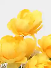 Желтый искусственные цветы: пионы, розы, осока, растения, зелень