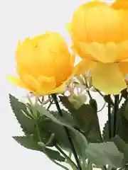 Желтый искусственные цветы: пионы, розы, осока, растения, зелень