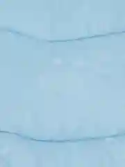 Одеяло зимнее, стеганное, 145*205, поплин, лебяжий пух