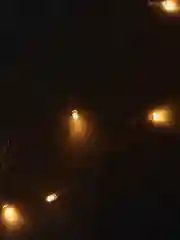Гирлянда-штора, светодиодная