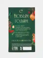 Алый новогодний подарочный набор: планинг-стикеры  и ручка