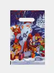 Ледяной пакет новогодний 20 х 30 см (3, 5, 10 шт)