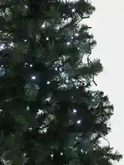 Белый гирлянда 10,20 метров/LED лампочки/цвет белый,желтый,синий,разноцв./новогодняя гирлянда