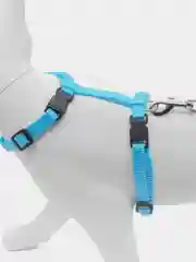 Голубой поводок для животных, шлейка для кошек