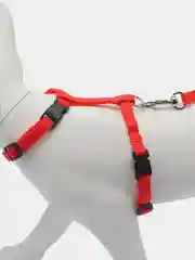Красный поводок для животных, шлейка для кошек