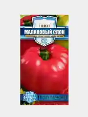Семена  томат " Малиновый слон"