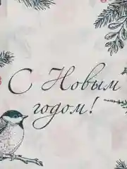 Кораллово-розовый пакет подарочный, новогодний, 20 x 11 , 16,8 х 13,5 см