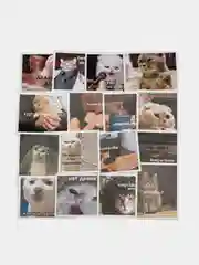 Наклейки стикеры "Мемы с котиками" 16 штук, размер 4,5*6,5 см для телефона, ежедневника