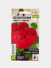 Пеларгония Нано скарлет, семена, цветы