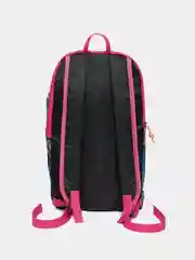 Вишнёвый рюкзаки цветные