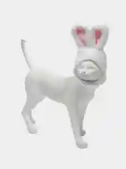 Белый шапочка с ушками для кошек и собак