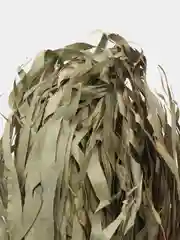 Эвкалиптовый банный веник для бани из эвкалипта