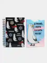 Хром набор подарочный: голографические обложка для паспорта и блокнот