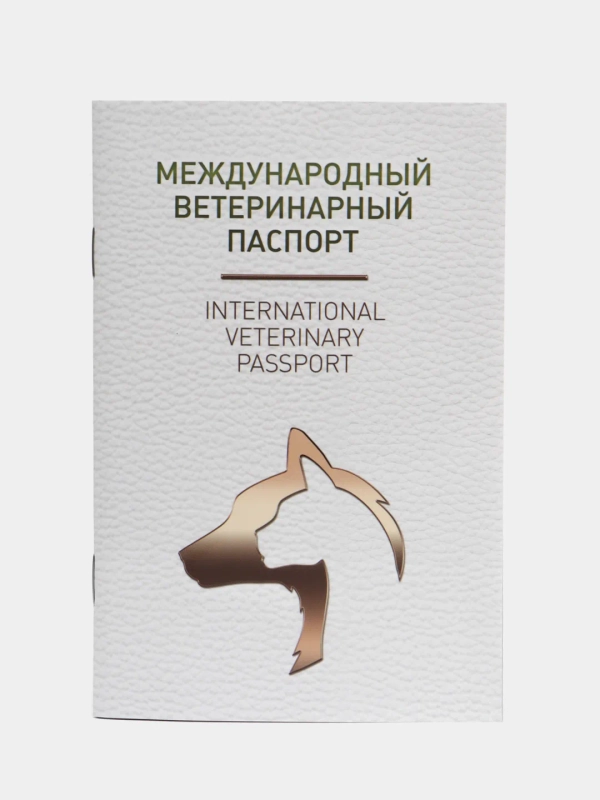 Ветеринарный паспорт для кошек и собак