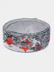 Алый лента репсовая, с рисунком, 2,5 см, длина 2 м