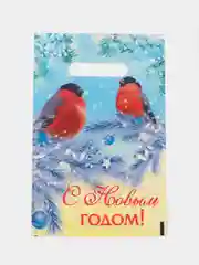 Манго пакет новогодний 20 х 30 см (3, 5, 10 шт)