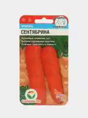 Морковь Сентябрина, 2 г, Сибирский сад