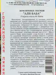 Земляника "Али-Баба", 0,1 г, Голландия, Престиж
