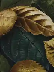 Тёмно-зелёный пакет подарочный/Мягкий пластик/Оригинальный,прочный пакет на каждый день