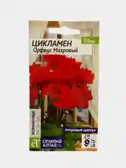 Цикламен Орфеус махровый (семена, цветы)