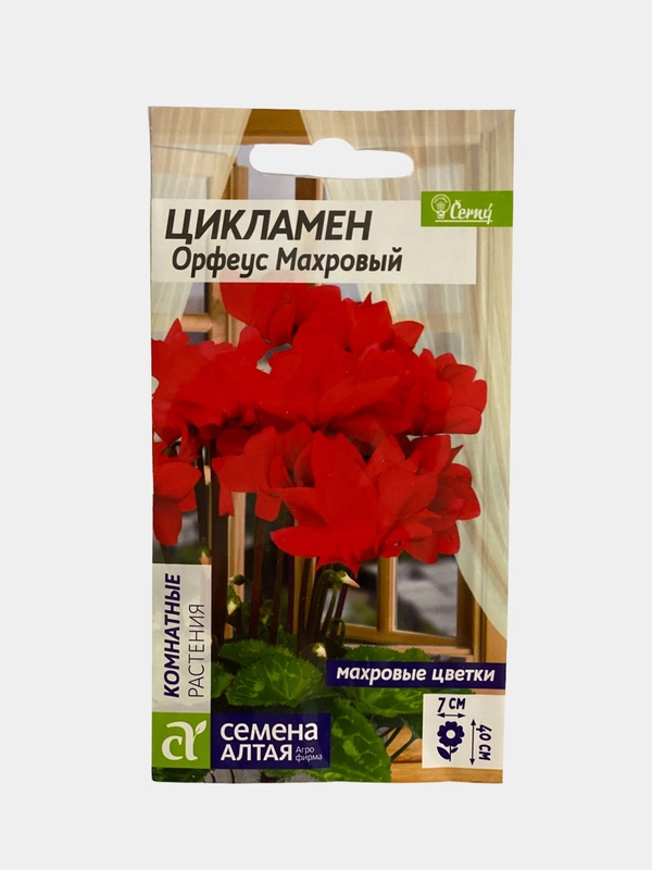 Цикламен Орфеус махровый (семена, цветы)