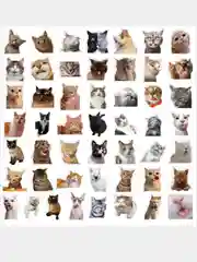 Бежевый наклейки котики