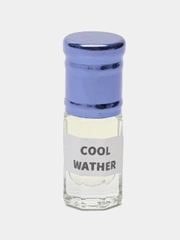 Масляные духи по мотивам Davidoff Cool Water, 3 мл