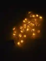 Гирлянда-нить 5 м, с насадками Ёжики белые, IP20, 30 LED, свечение белое, 8 режимов, 220 В