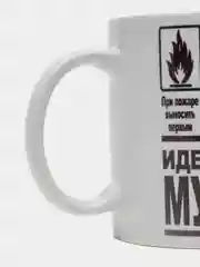 Кружка сувенирная, подарочная с принтом " Идеальный мужчина "