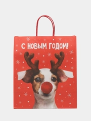 Пакет новогодний, подарочный, 38 х 28 х 15 см