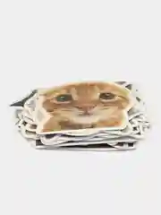 Разноцветный стикеры-наклейки "Мемы", "Коты", 50 штук, стикерпак, на телефон, для детей и творчества
