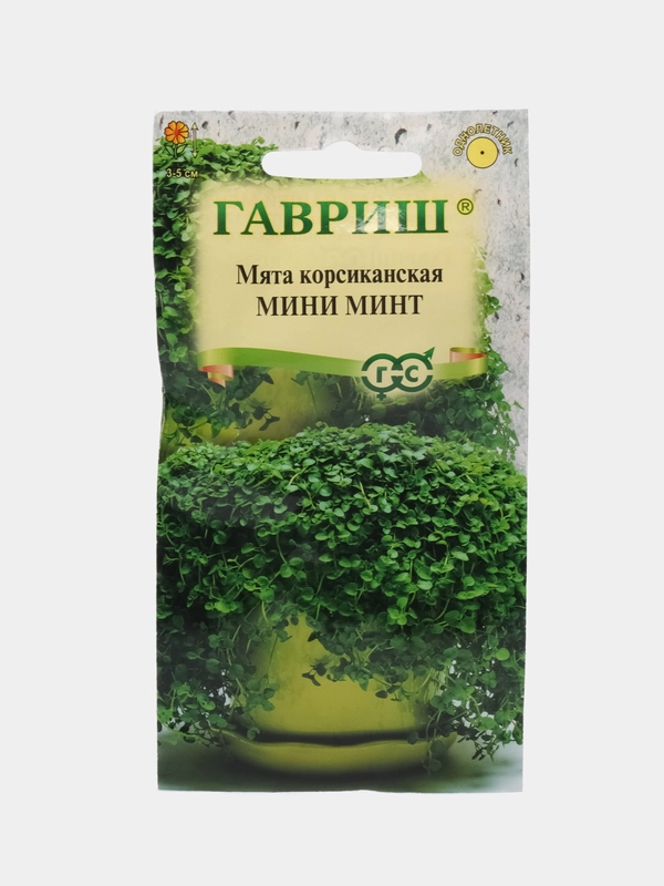 Мята корсиканская Мини Минт (семена)