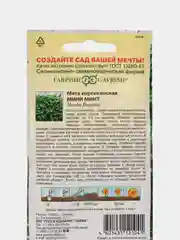 Мята корсиканская Мини Минт (семена)