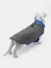Красный утепленный жилет для собак