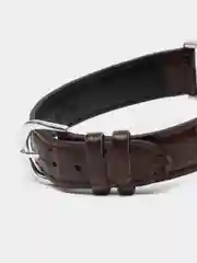 Коричневый часы наручные Casio Collection LTP-VT01