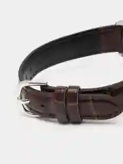 Светло-коричневый часы наручные Casio Collection LTP-V005