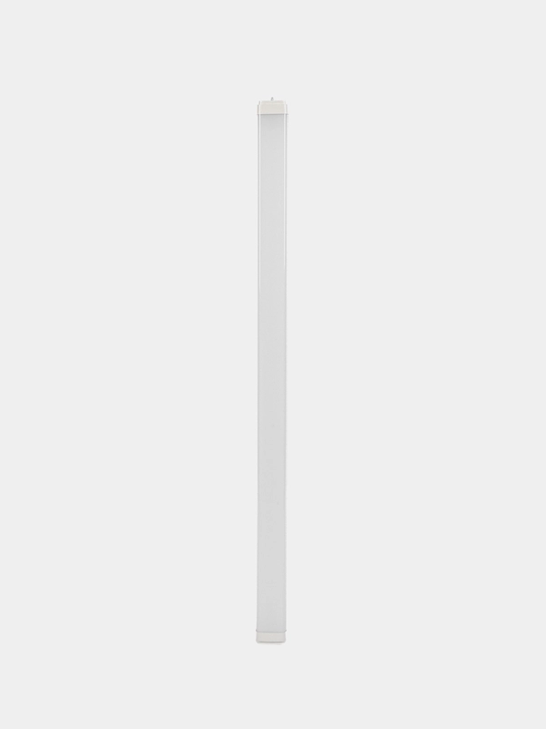 Светильник светодиодный LEEK, IP65, настенно-потолочный, линейный, пылевлагозащищенный