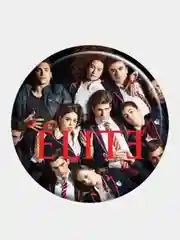 Коралловый значки  "NETFLIX"