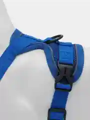 Синий шлейка для собак с поводком, 1,5 м