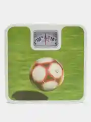 Лайм весы напольные механические 25*25*5 см