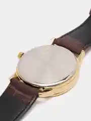 Коричневый часы наручные CASIO Collection MTP-V002