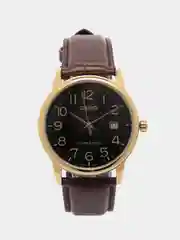 Коричневый часы наручные CASIO Collection MTP-V002