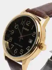 Коричневый часы наручные CASIO Collection MTP-V002
