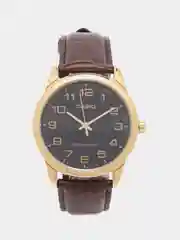 Коричневый часы наручные CASIO Collection MTP-V001