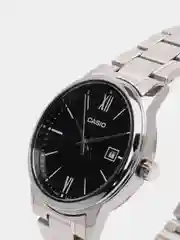 Серебряный часы наручные CASIO Collection MTP-V002